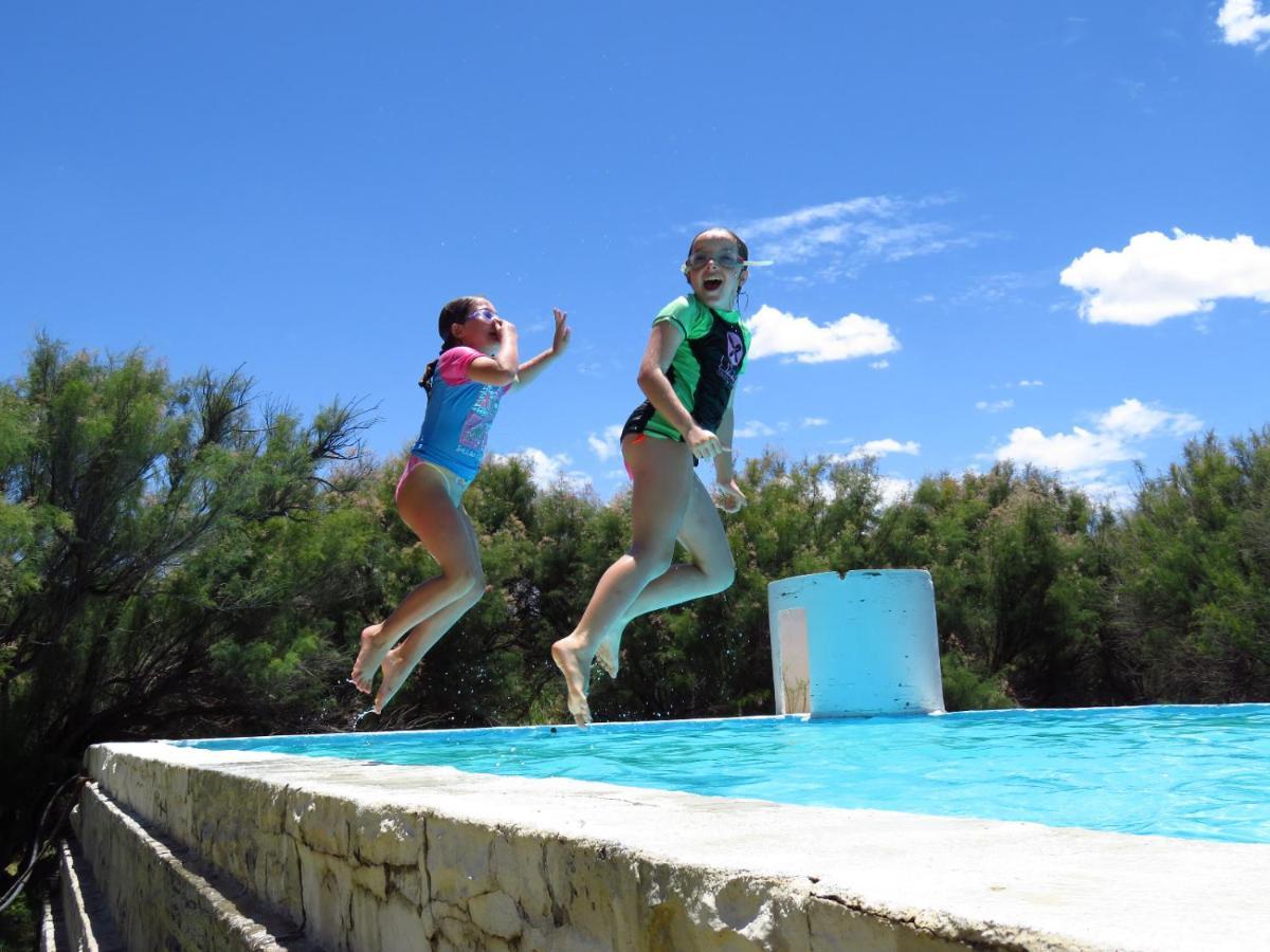 Melton Wold Guest Farm Villa Meltonwold Ngoại thất bức ảnh