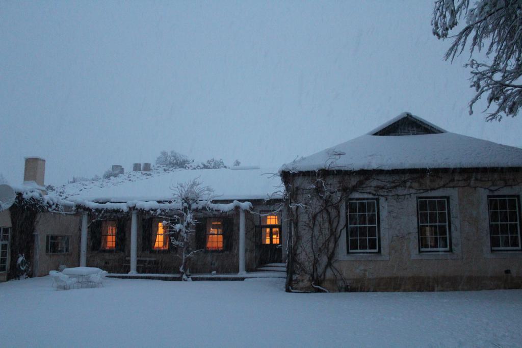 Melton Wold Guest Farm Villa Meltonwold Ngoại thất bức ảnh